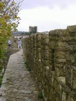 Obidos Staedtchen aus dem Mittelalter (12)